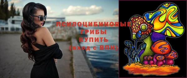стаф Богданович