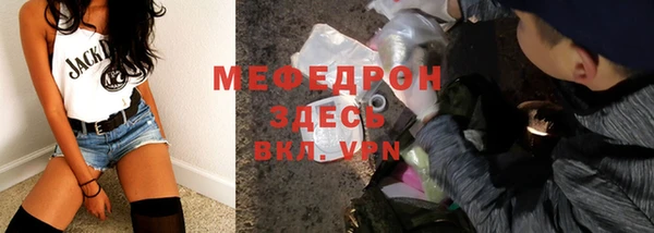 стаф Богданович