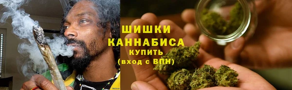 стаф Богданович