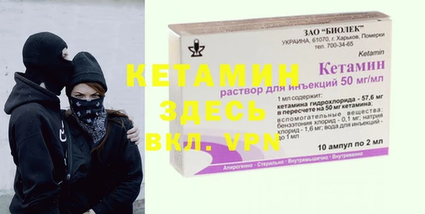 стаф Богданович