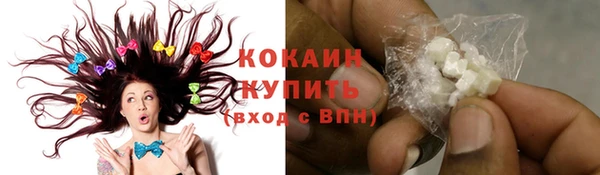 стаф Богданович