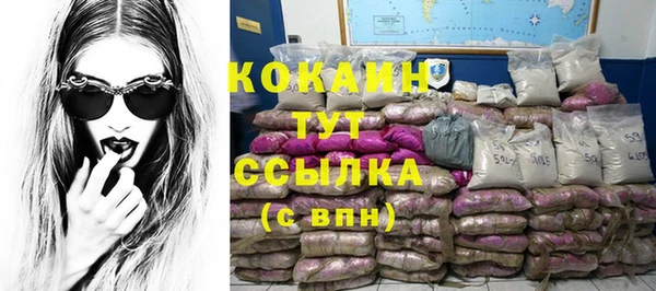 стаф Богданович