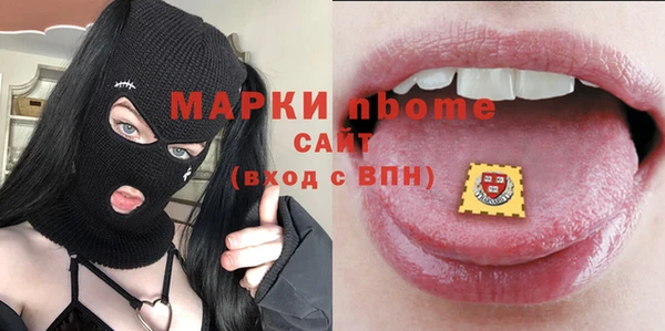 стаф Богданович