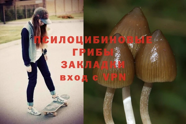MESCALINE Богородицк