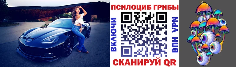 Псилоцибиновые грибы Cubensis  omg tor  Острогожск 