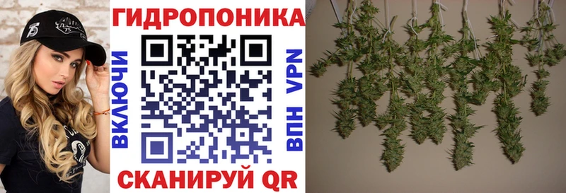 блэк спрут маркетплейс  Острогожск  Бошки марихуана ГИДРОПОН 